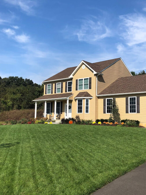 NatureScape Team